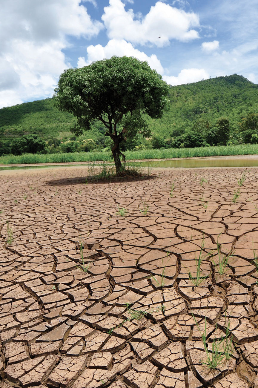 Dry, fractured ground stretches toward a green hillside, with a single tree growing beside a small pond under a blue sky with clouds.